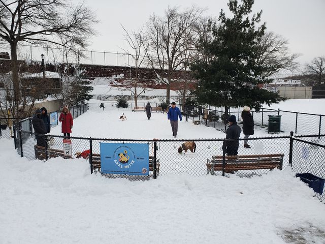 A photo of Lodati Park Dog Run at the end of January 2022